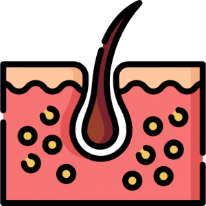 Skin- Dermatology