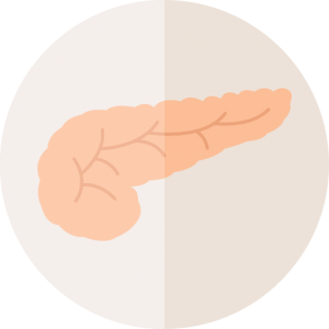 pancreas-Diabetes